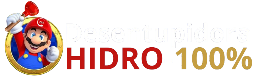 desentupidora-hisro100 LOGO